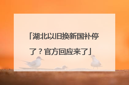 湖北以旧换新国补停了？官方回应来了
